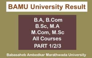 BAMU Result 2024 Declared BA B.Com B.Sc MA M.Com.
